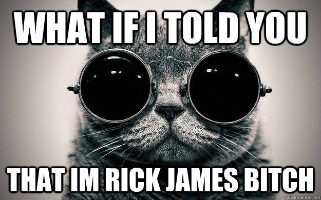 what if I told you that Im Rick James Bitch  Morpheus Cat Facts