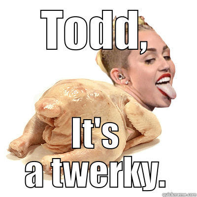 TODD, IT'S A TWERKY. Misc