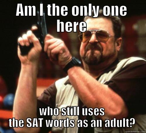 AM I THE ONLY ONE HERE WHO STILL USES THE SAT WORDS AS AN ADULT? Am I The Only One Around Here