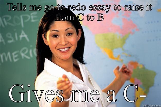 TELLS ME GO TO REDO ESSAY TO RAISE IT FROM C TO B GIVES ME A C- Unhelpful High School Teacher