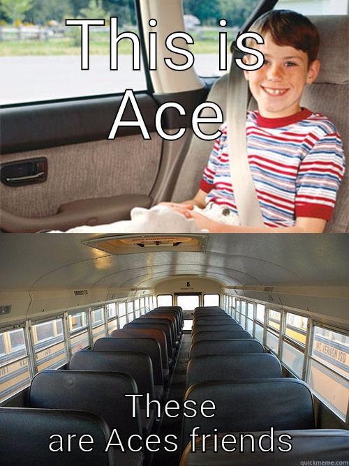 Ace and his friends - THIS IS ACE THESE ARE ACES FRIENDS Scumbag Seat Belt Laws