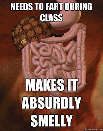Needs to fart during class Makes it absurdly smelly  Scumbag Bowels