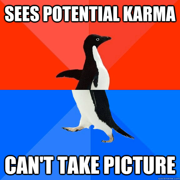 sees potential karma can't take picture  Socially Awesome Awkward Penguin