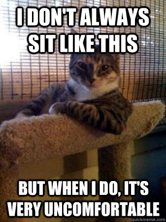 I don't always sit like this but when I do, it's very uncomfortable  The Most Interesting Cat in the World