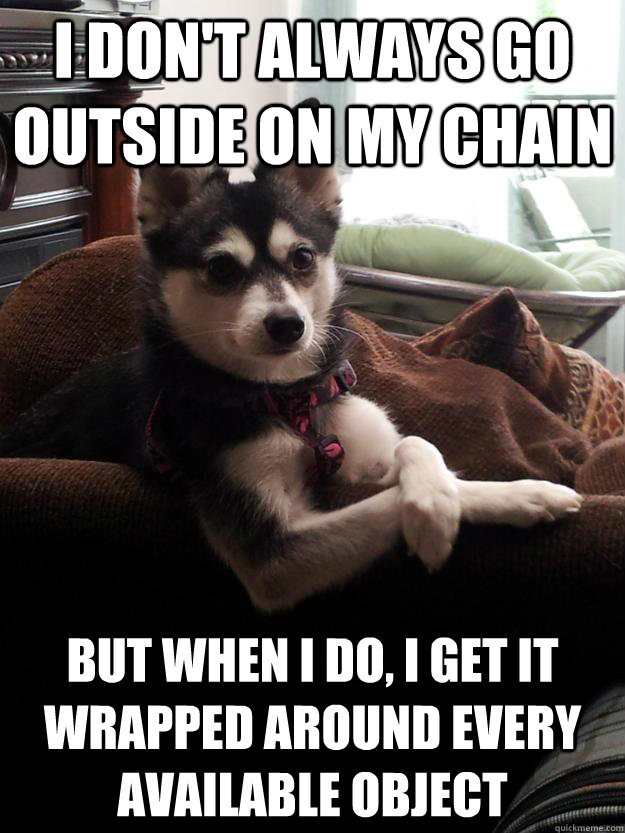 I don't always go outside on my chain but when i do, I get it wrapped around every available object - I don't always go outside on my chain but when i do, I get it wrapped around every available object  Misc