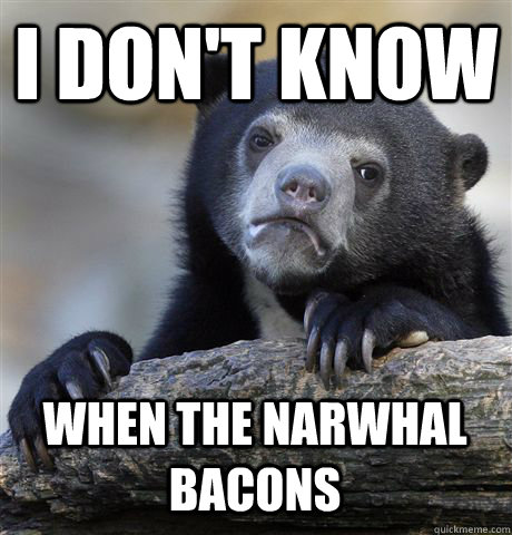 i don't know when the narwhal bacons  Confession Bear