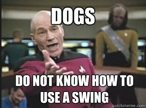 dogs do not know how to use a swing  Annoyed Picard
