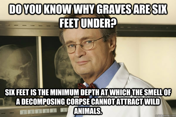 Do you know why graves are six feet under? six feet is the minimum depth at which the smell of a decomposing corpse cannot attract wild animals. - Do you know why graves are six feet under? six feet is the minimum depth at which the smell of a decomposing corpse cannot attract wild animals.  Fun Fact Advice Mallard