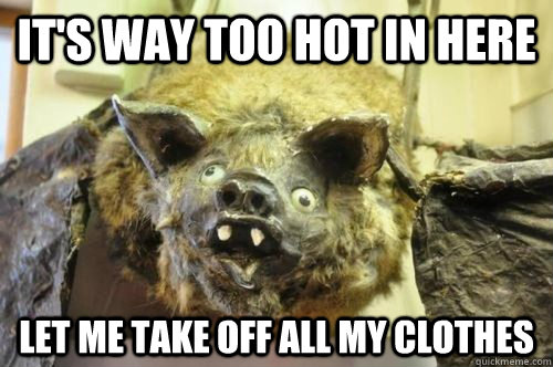 it's way too hot in here let me take off all my clothes - it's way too hot in here let me take off all my clothes  Bad Logic Rodent