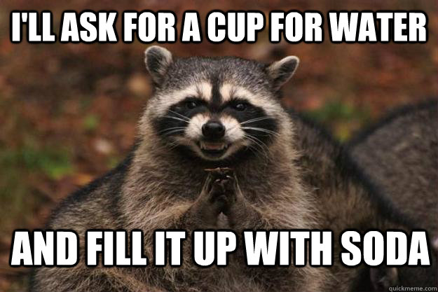 I'll Ask for a cup for water and fill it up with soda  Evil Plotting Raccoon