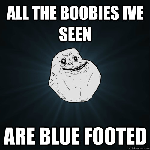 All the boobies Ive seen are blue footed  Forever Alone