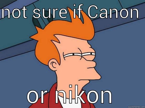 Canon vs nikon - NOT SURE IF CANON  OR NIKON Futurama Fry