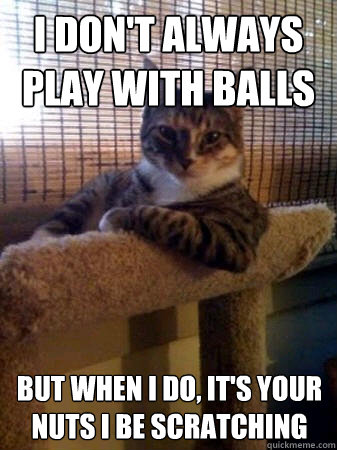I don't always play with balls but when I do, it's your nuts i be scratching  The Most Interesting Cat in the World