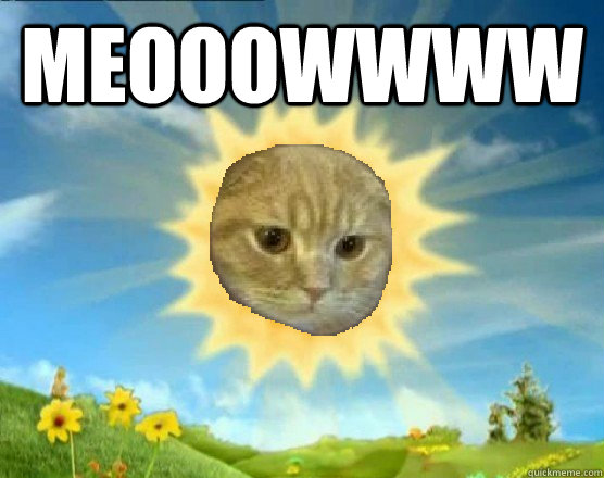 MEOOOWWWW  Sun Cat