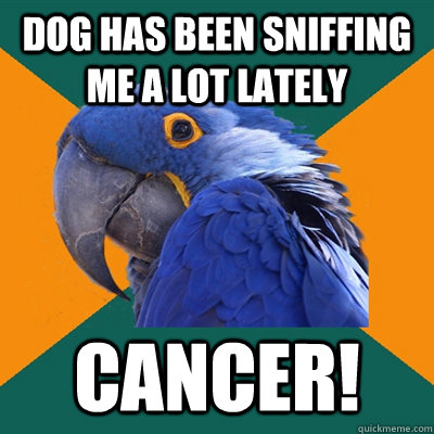 DOG HAS BEEN SNIFFING ME A LOT LATELY CANCER! - DOG HAS BEEN SNIFFING ME A LOT LATELY CANCER!  Paranoid Parrot