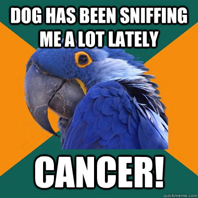 DOG HAS BEEN SNIFFING ME A LOT LATELY CANCER!  Paranoid Parrot
