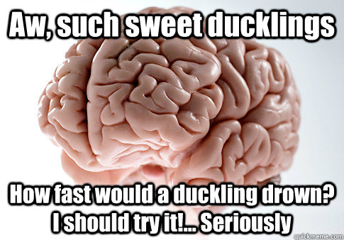 Aw, such sweet ducklings How fast would a duckling drown? I should try it!... Seriously  - Aw, such sweet ducklings How fast would a duckling drown? I should try it!... Seriously   Scumbag Brain