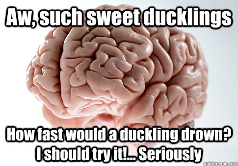 Aw, such sweet ducklings How fast would a duckling drown? I should try it!... Seriously   Scumbag Brain