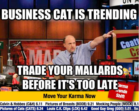 Business Cat is trending Trade your mallards before it's too late  Mad Karma with Jim Cramer