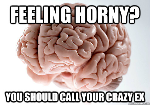 FEELING HORNY? YOU SHOULD CALL YOUR CRAZY EX  Scumbag Brain