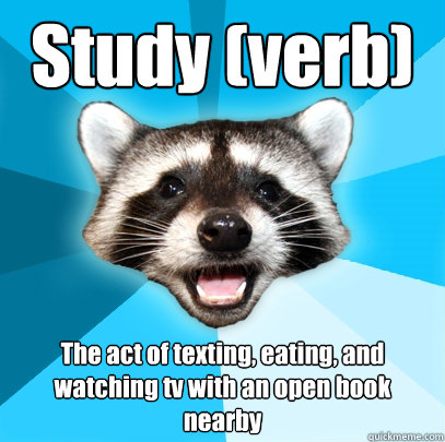 Study (verb) The act of texting, eating, and watching tv with an open book nearby  Lame Pun Coon