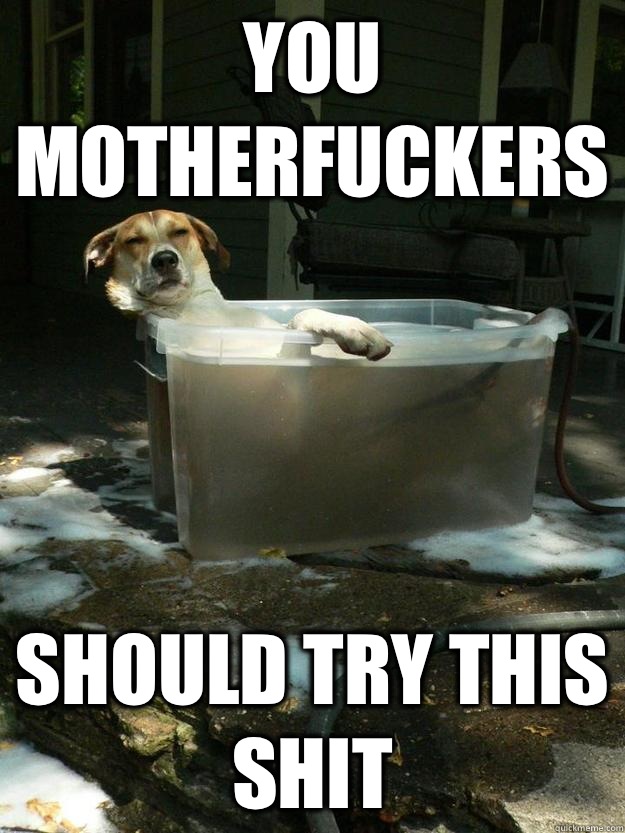 You motherfuckers Should try this shit  Dog Bath