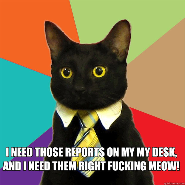  I need those reports on my my desk, And I need them right fucking Meow!  Business Cat