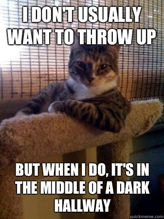 I don't usually want to throw up but when I do, it's in the middle of a dark hallway  The Most Interesting Cat in the World