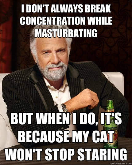I don't always break concentration while masturbating but when i do, it's because my cat won't stop staring  The Most Interesting Man In The World