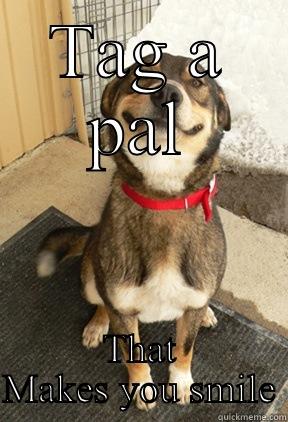 TAG A PAL THAT MAKES YOU SMILE Good Dog Greg