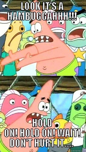 LOOK IT'S A HAMBUGGAHHH!!! HOLD ON! HOLD ON! WAIT! DON'T HURT IT.....  Push it somewhere else Patrick