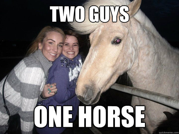 two guys  one horse - two guys  one horse  Ridiculously Photogenic Horse