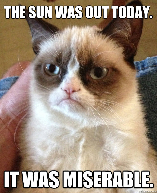 The sun was out today. It was miserable.  grumpycat