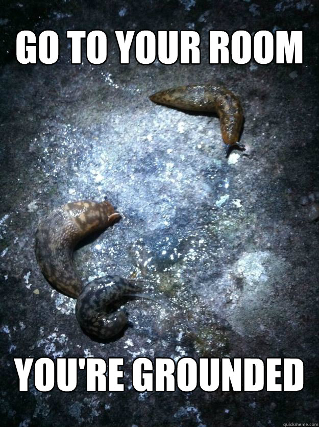 go to your room you're grounded Misc quickmeme