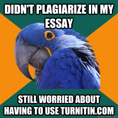 Didn't Plagiarize in my essay still worried about having to use turnitin.com  Paranoid Parrot