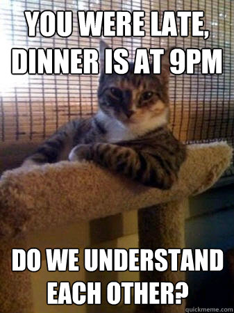 you were late, dinner is at 9pm do we understand each other?  The Most Interesting Cat in the World