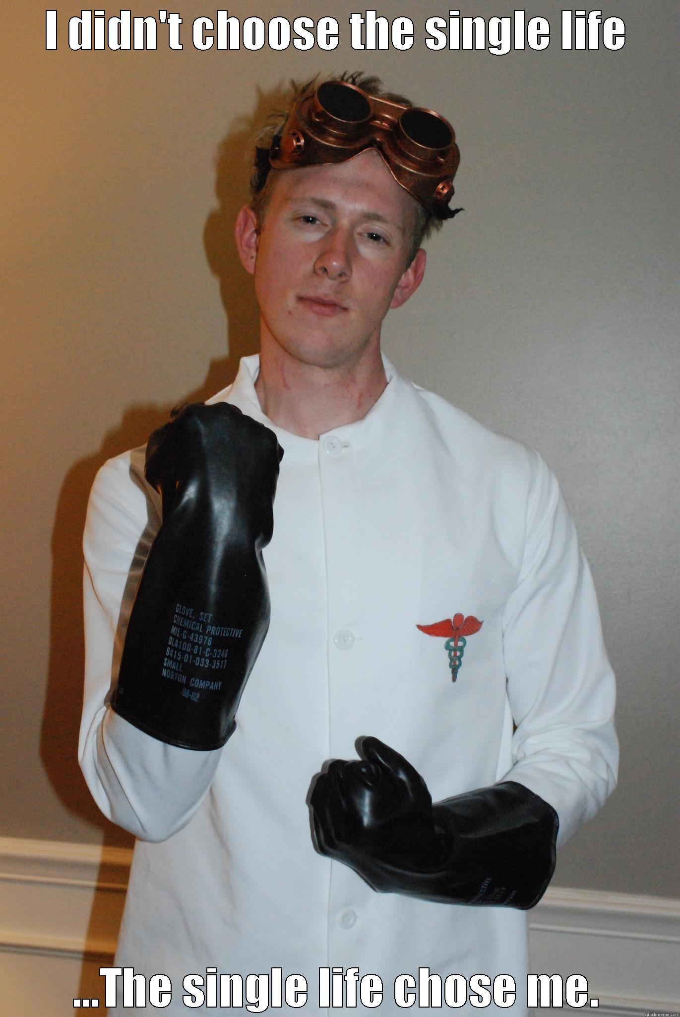 I DIDN'T CHOOSE THE SINGLE LIFE ...THE SINGLE LIFE CHOSE ME. Misc