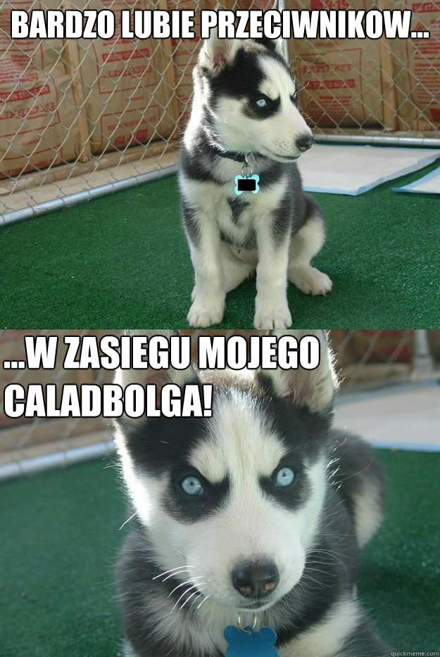 Bardzo lubie przeciwnikow... ...w zasiegu mojego caladbolga!  Insanity puppy