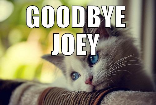 GOODBYE JOEY  First World Problems Cat