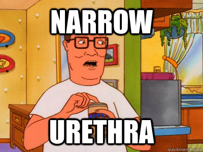 Narrow  Urethra - Narrow  Urethra  Hank Hill Wisdom
