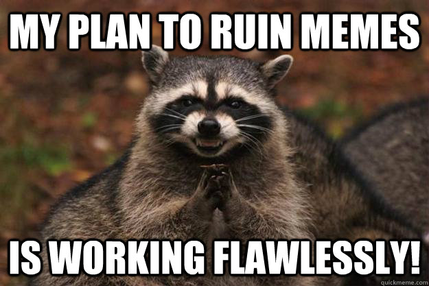 My plan to ruin memes is working flawlessly!   Evil Plotting Raccoon