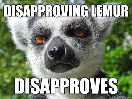 Disapproving Lemur Disapproves  