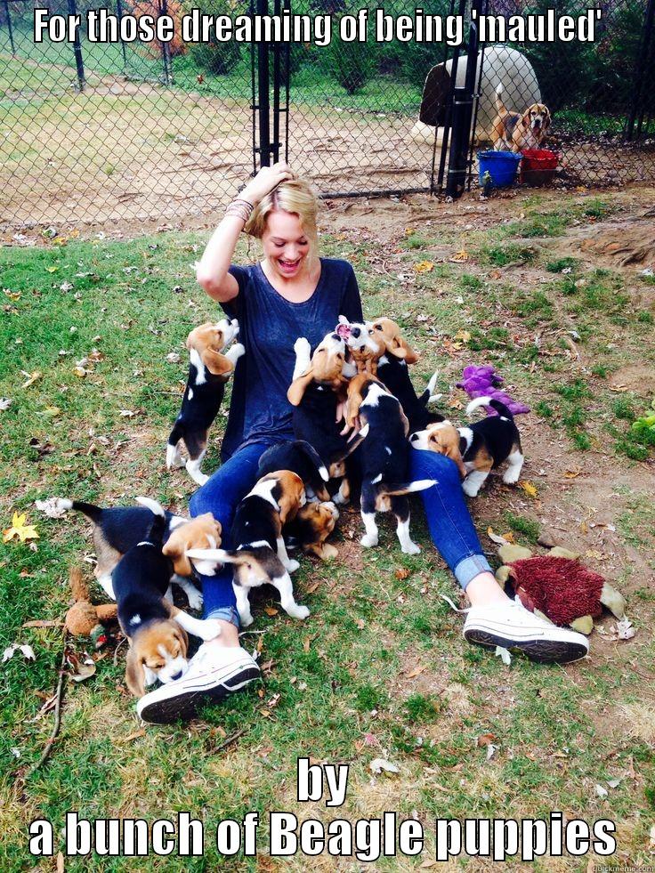 Beagle mauling - FOR THOSE DREAMING OF BEING 'MAULED'   BY A BUNCH OF BEAGLE PUPPIES Misc