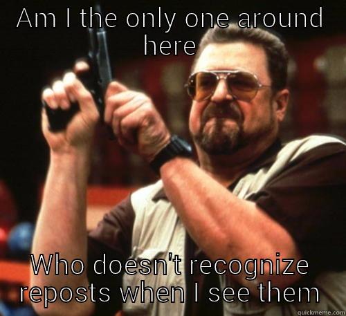 AM I THE ONLY ONE AROUND HERE WHO DOESN'T RECOGNIZE REPOSTS WHEN I SEE THEM Am I The Only One Around Here