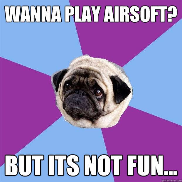 wanna play airsoft? but its not fun...  Lonely Pug