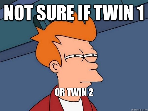 Not sure if Twin 1 Or twin 2
  Futurama Fry