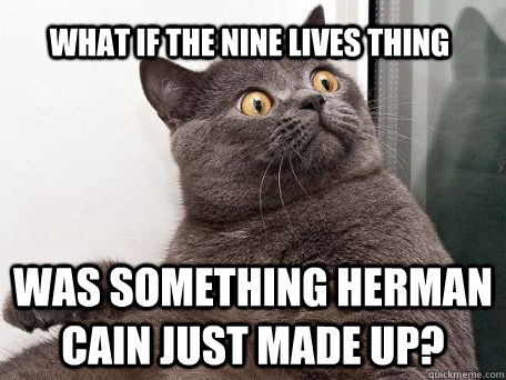 What if the nine lives thing was something herman cain just made up?  conspiracy cat