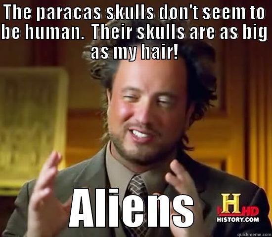 THE PARACAS SKULLS DON'T SEEM TO BE HUMAN.  THEIR SKULLS ARE AS BIG AS MY HAIR! ALIENS Ancient Aliens