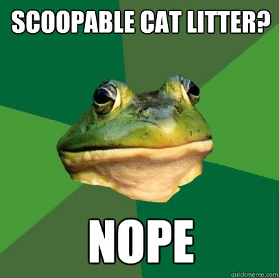 Scoopable Cat litter? NOPE  Foul Bachelor Frog