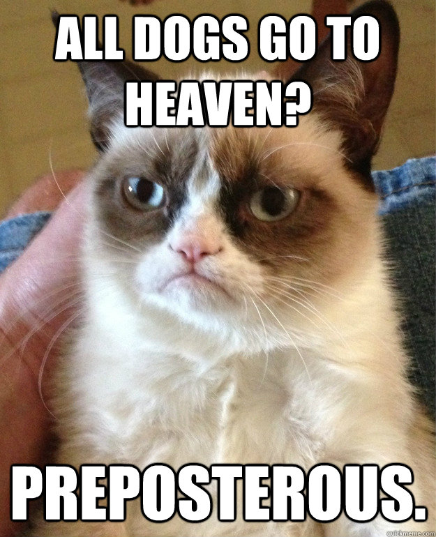 All dogs go to heaven? Preposterous.   Grumpy Cat is so sick of this shit